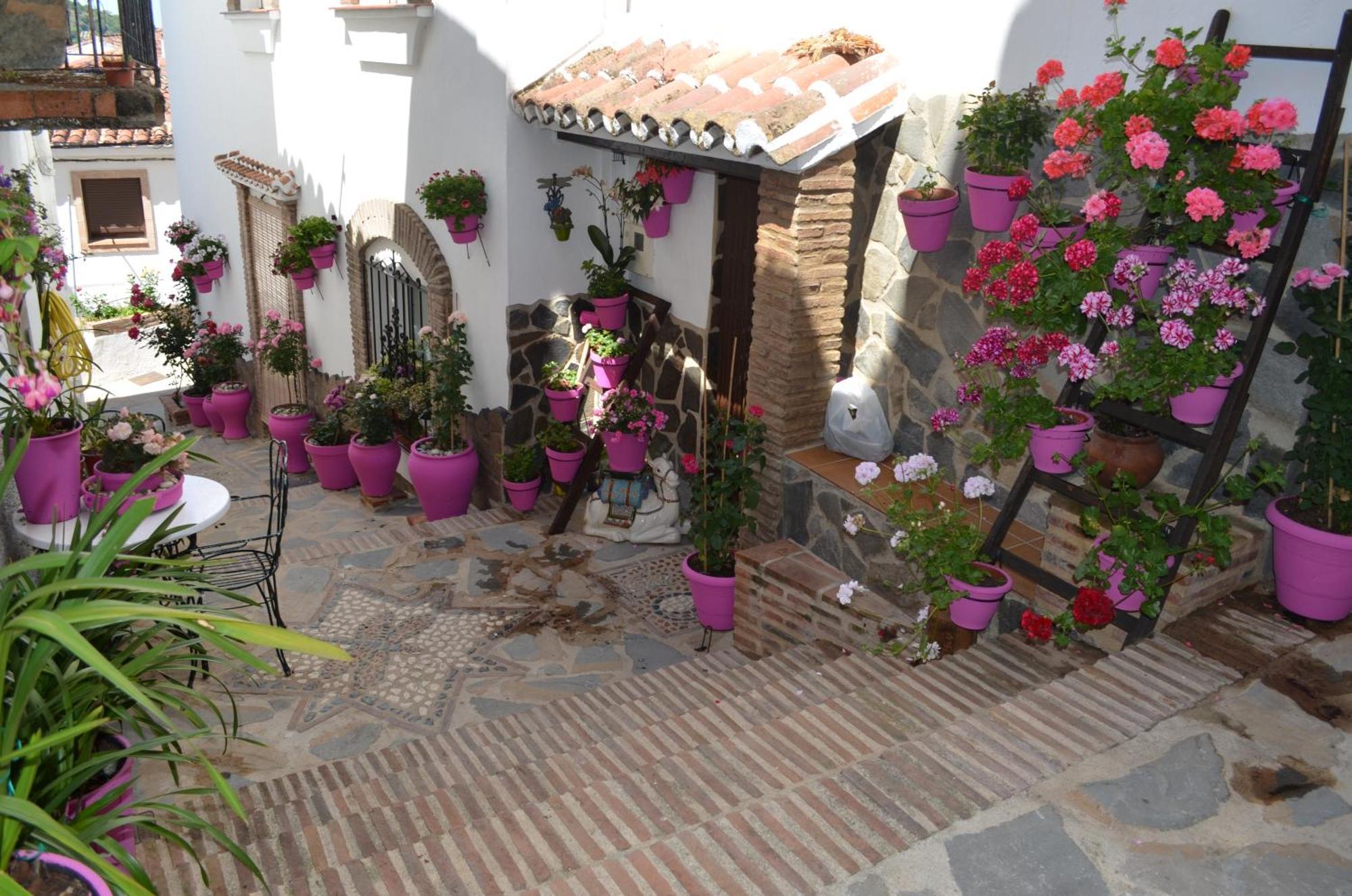 Finca El Molino De Aceite Jubrique Extérieur photo
