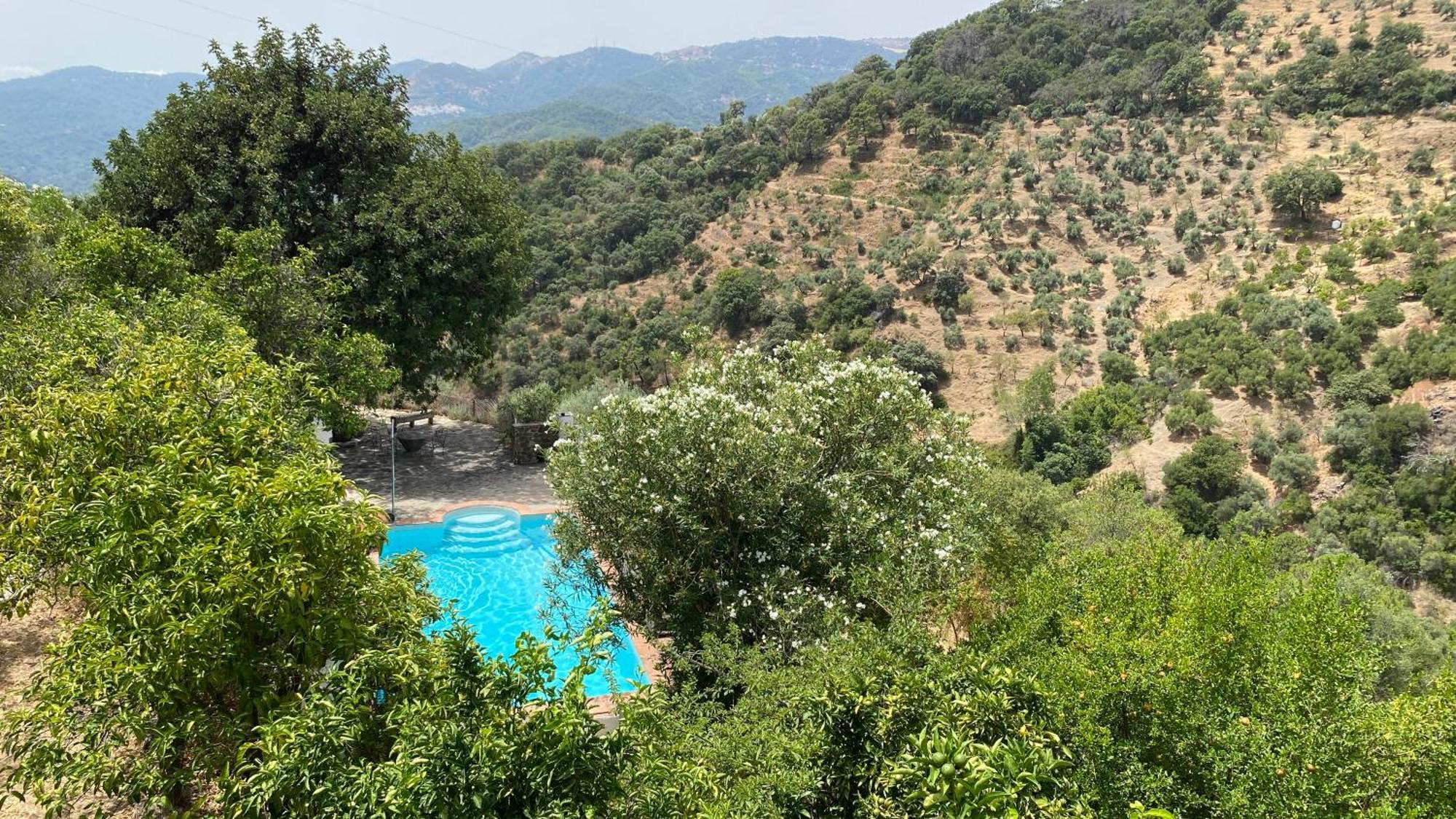 Finca El Molino De Aceite Jubrique Extérieur photo